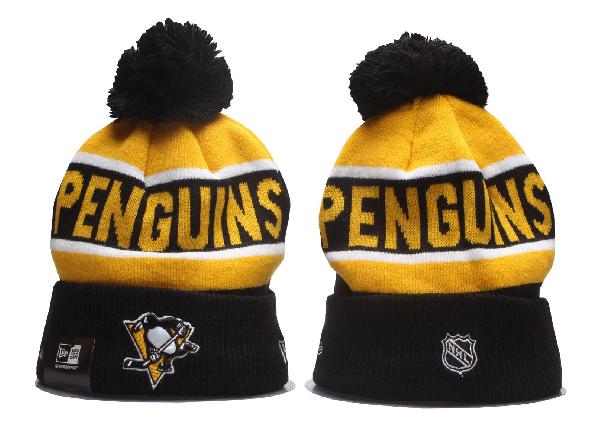 Шапка Pittsburgh Penguins 2023
